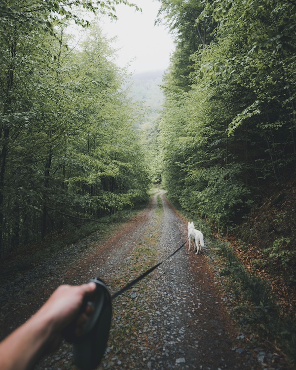 Hunden tok med eieren sin på tur